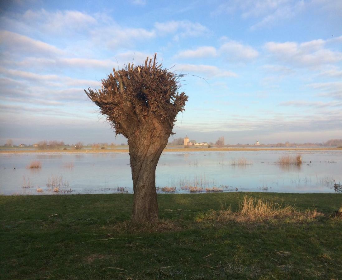 Unique Place On The River Waal Heerewaarden Exterior photo